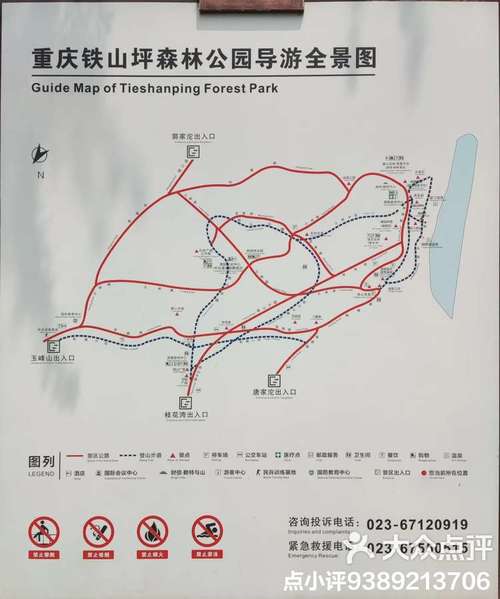 重庆蒂斯平森林公园风景区域简介