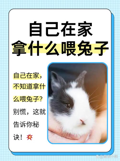 如何让我的兔子和豚鼠安心地待在家里(图1)