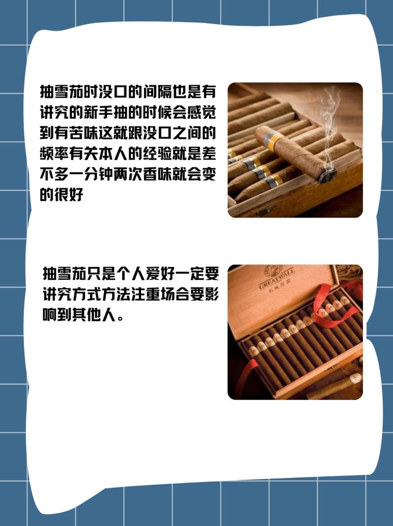 雪茄烟缸 雪茄迷的趣味与专业烟具选择：从裁剪到照顾的全面指南(图1)