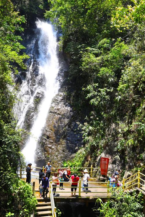 市县合作共同绘制文化旅游新蓝图，盘龙峡森林温泉度假村项目取得新进展(图1)
