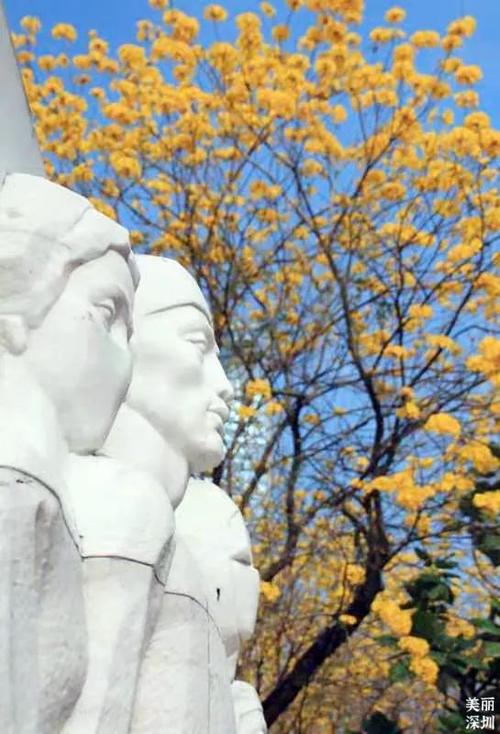 汕头丹营生态公园春色满园，全年免费向一线医务人员开放(图1)