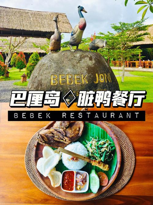 肮脏的鸭餐，烤猪猪，松子果...享受美味的食物，美丽的风景是巴厘岛食物的灵魂(图1)