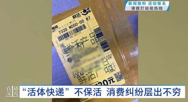 网购宠物寄到东北，收到货已是冻死尸体！网友：搞笑吗？(图1)