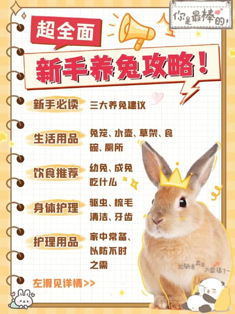 大熊猫兔的饲养方法及注意事项(图1)