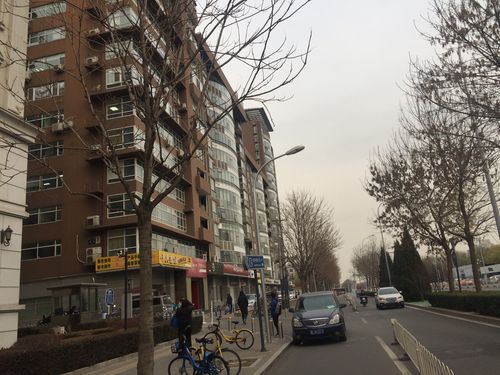 北京土宝(图1)