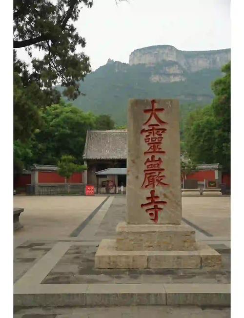 “灵岩茶论”论坛在中国禅茶发源地灵岩寺举行(图1)