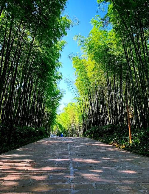宜宾蜀南竹海旅游度假区上榜(图1)