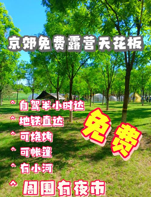 71北京春季郊游的好地方！观看展览，风筝，攀登山脉，拍照，烧烤，郊游，远足，并做任何您想做的事(图1)