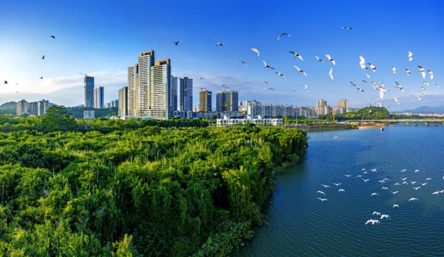 浩赞南方·绿色美丽广东之旅|种下这片新绿，共建“+森林”！(图1)