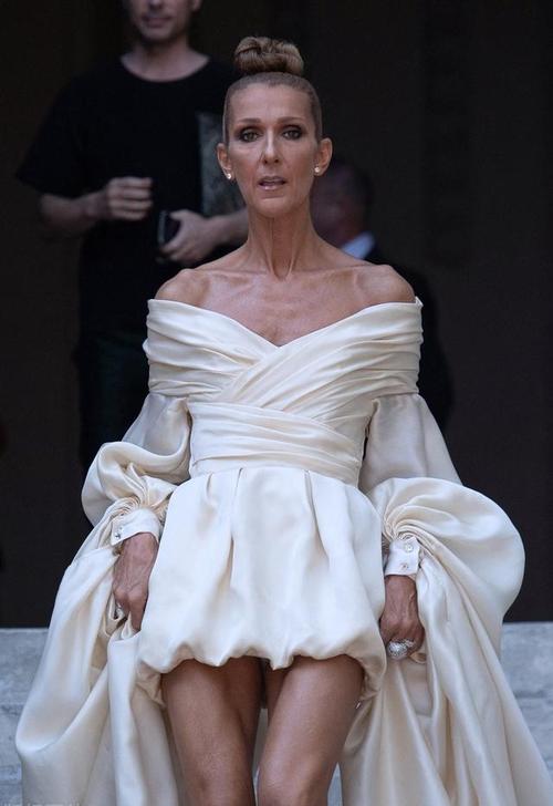席琳·迪翁（Celine Dion）出现在格莱美奖（Grammy Awards(图1)