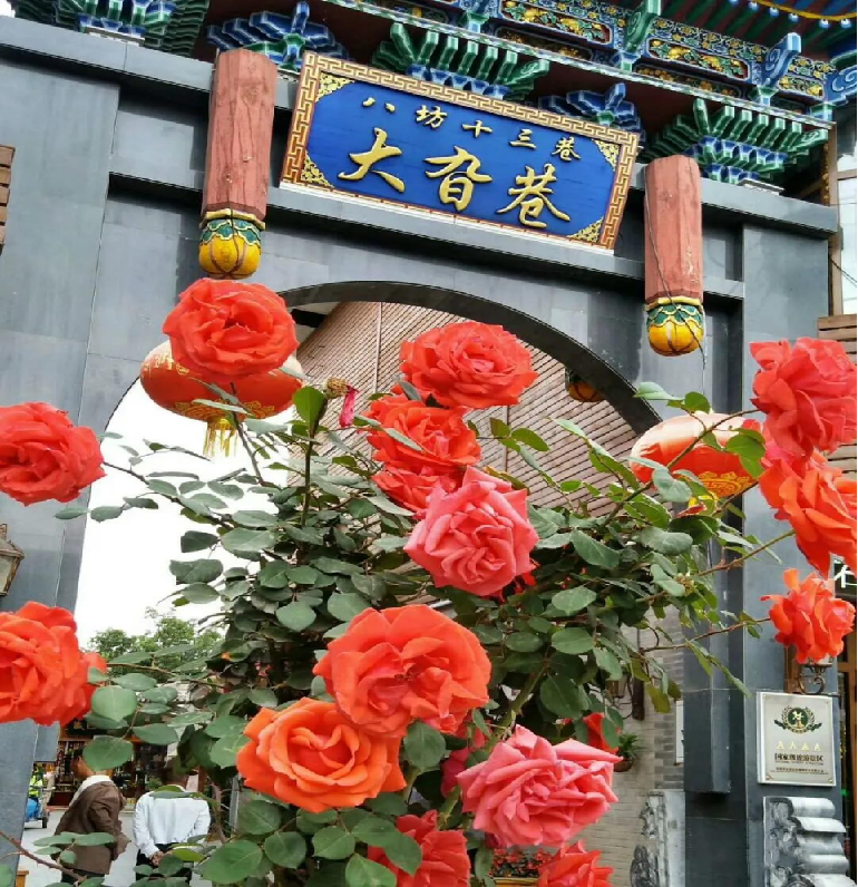 临夏旅游攻略 八坊十三巷游玩全攻略(图3)