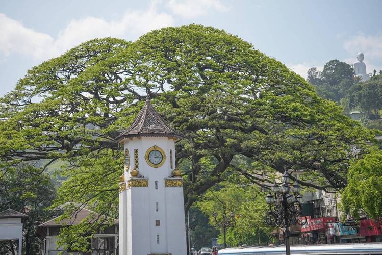 斯里兰卡 旅游 康提(图1)