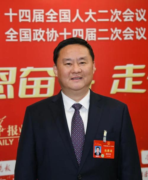 一位经验丰富的企业领导者：杨坚个人简历简介(图1)