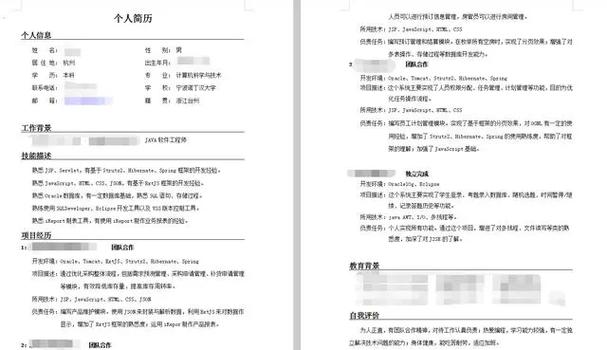求职信封撰写：靳小建的专业简历(图1)