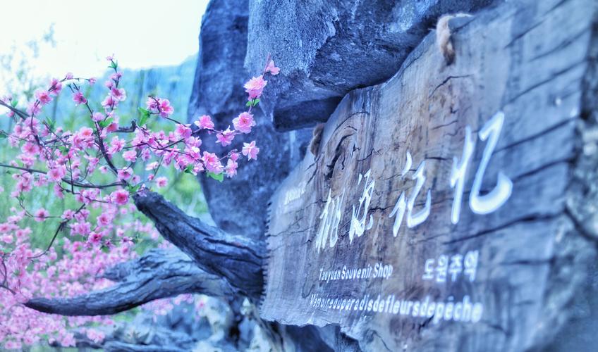 【旅拍】（五月计划）5月7日-11日湖南凤凰古城、张家界国家森林公园、重庆酉阳桃花源、贵州边城五天双飞旅拍活动(图1)