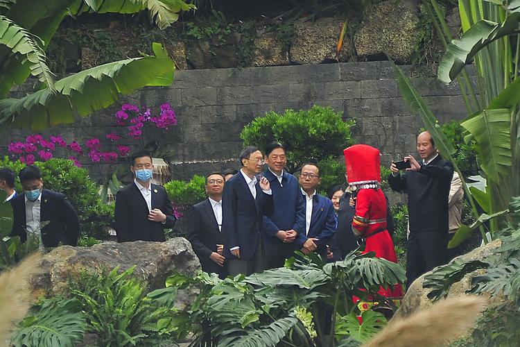 广西旅游养生协会代表团莅临南宁三江口风景区考察交流(图1)