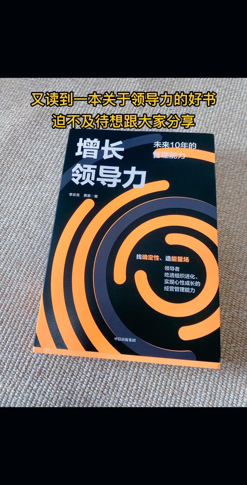 资深人力资源专家齐秉正：推动组织绩效和员工潜力(图1)