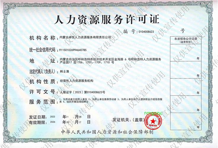 卓越人力资源专业人士 | 施彪的职业历程(图1)