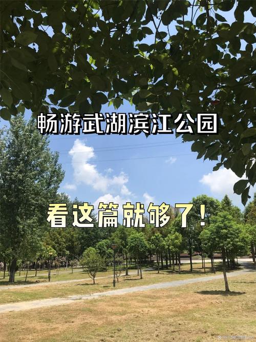 广西武湖旅游景点的自动驾驶导游(图1)
