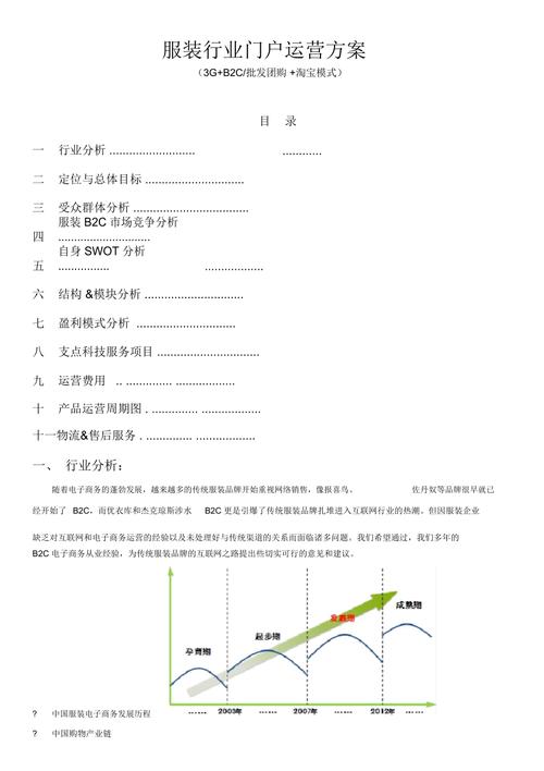 服装行业电子商务解决方案.docx(图1)
