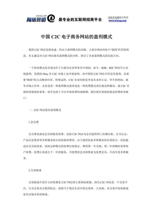 【优秀论文】中国C2C电子商务网站盈利模式研究(图1)