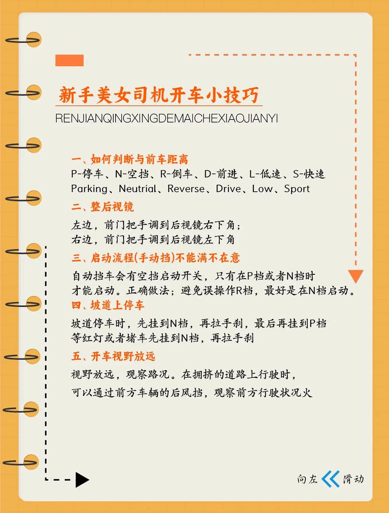 驾驭道路：专业女司机个人简历指南(图1)