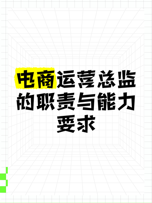电商总监（自主研发电商平台）(图1)