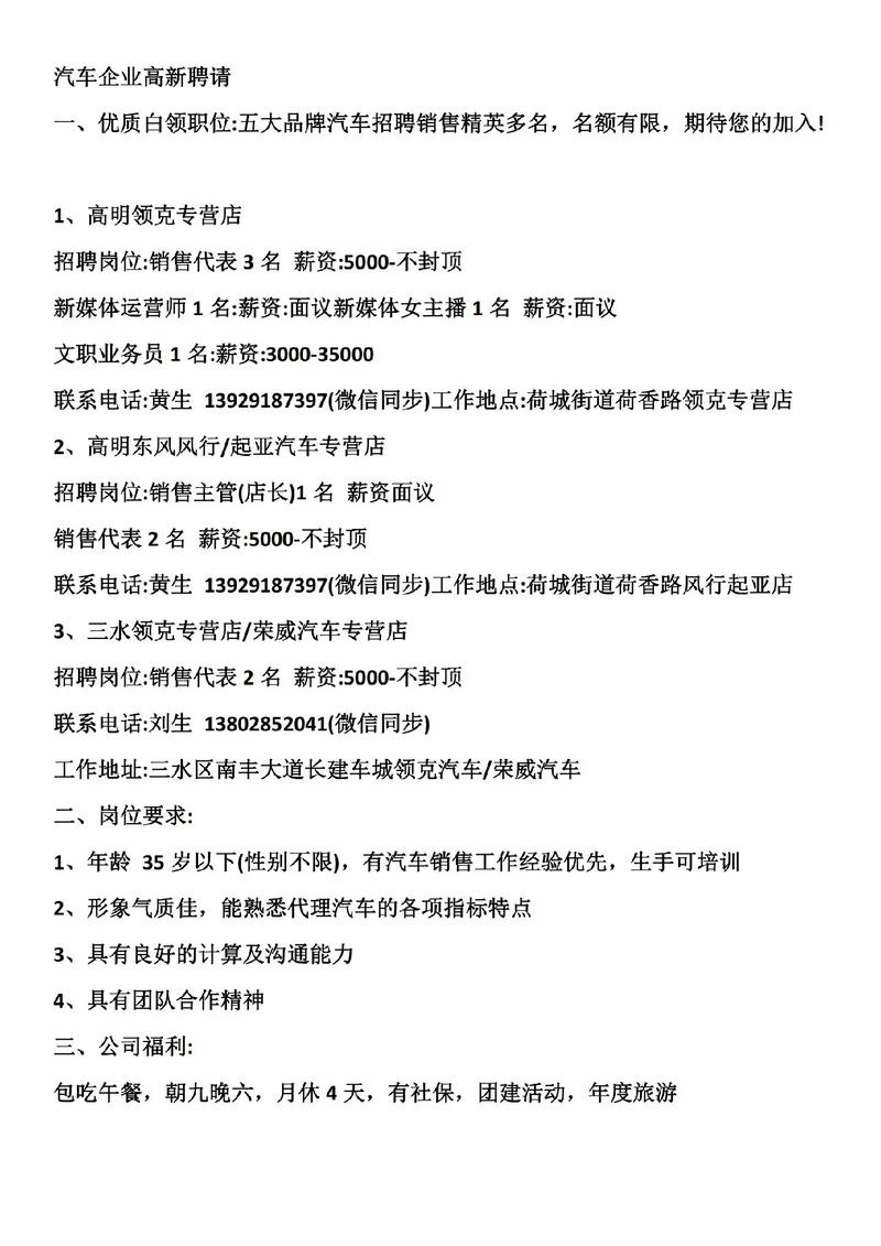 招聘精英：叶婷的专业履历与成功秘诀(图1)