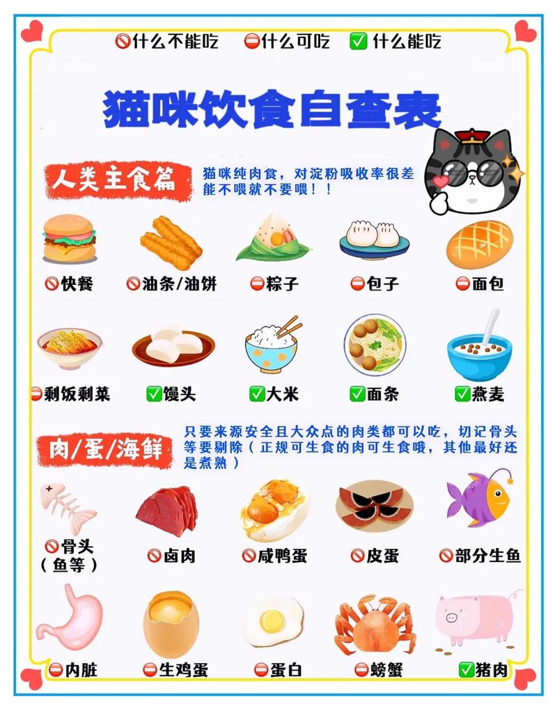 怀孕的猫最好的食物是什么？(图1)