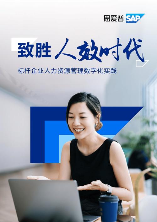 资深人力资源专业人士，叶远方，助您打造卓越团队(图1)