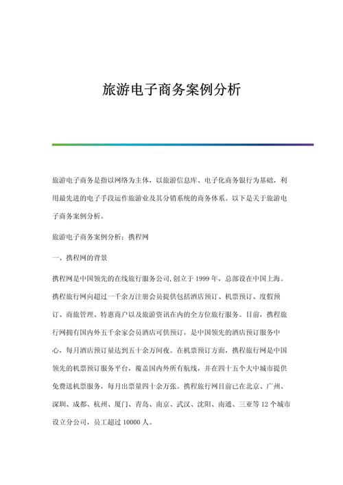 中国旅游电子商务的SWOT分析与战略选择.pdf(图1)