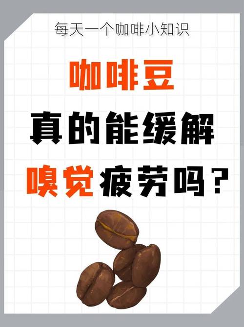 闻咖啡豆真的能恢复嗅觉吗？揭秘嗅觉恢复的正确方法(图1)