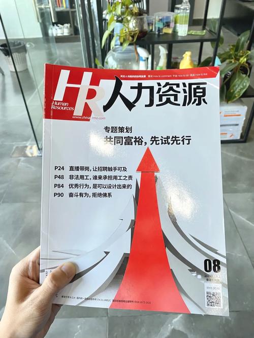 资深人力资源专业人士 许宝晴的职业生涯历程(图1)