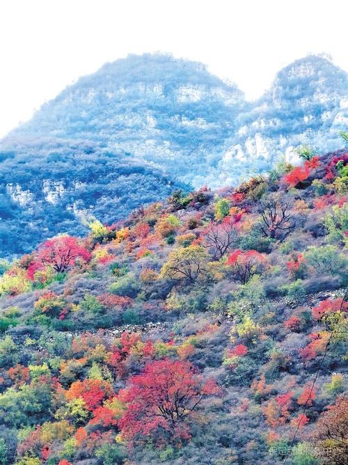 中国 - 加拿大旅游年白白枫叶节在Baiyintuo风景区揭幕(图1)