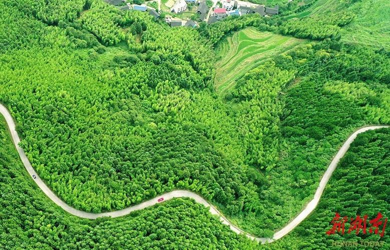 Aozhi村，山Xi省Pingshun县Yanggao镇：在绿色水域和绿山之间创建一个古老而独特的村庄(图1)