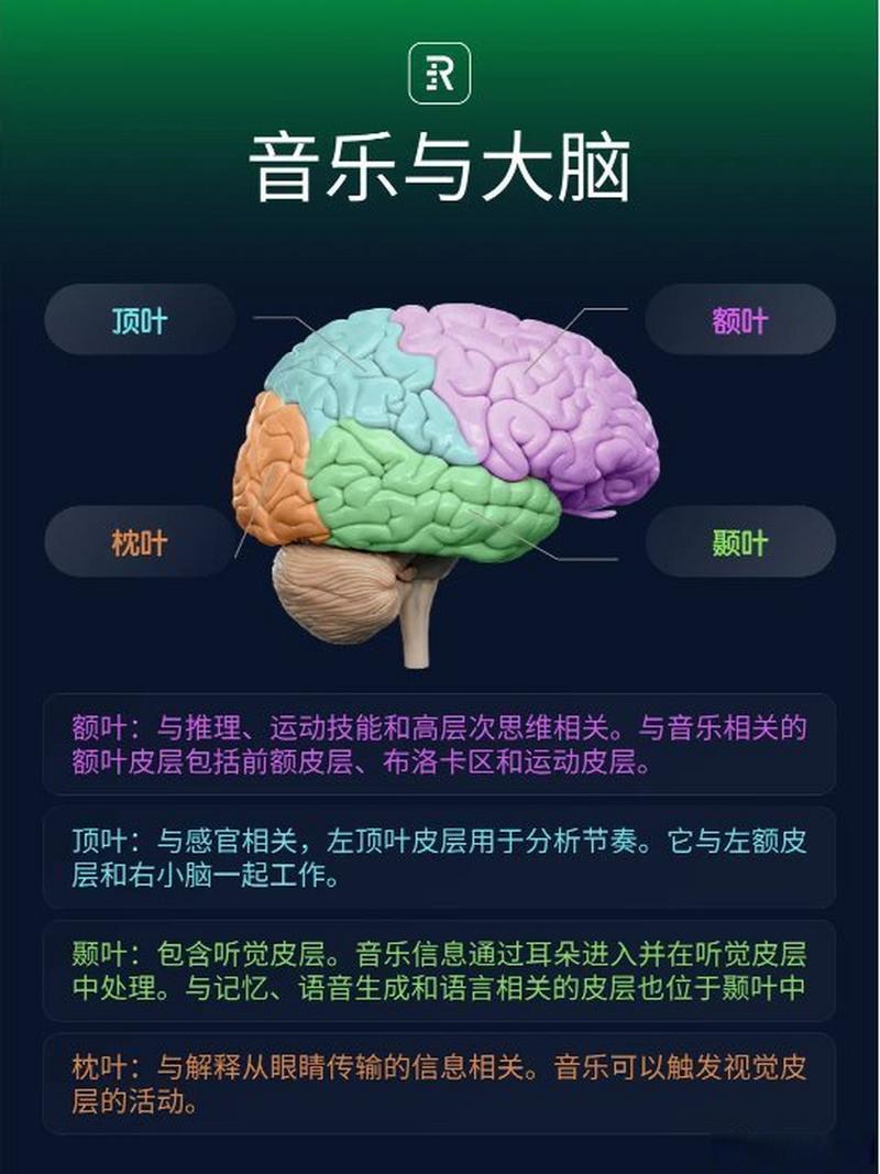 **首基于Pulsar信号的歌曲，来自天文学和音乐的有趣大脑(图1)