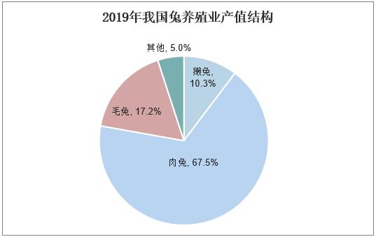 肉兔养殖前景分析(图1)