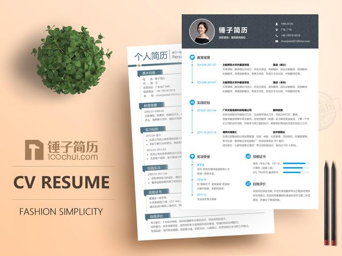 **求职与简历优化：技师招募的专业视角(图1)