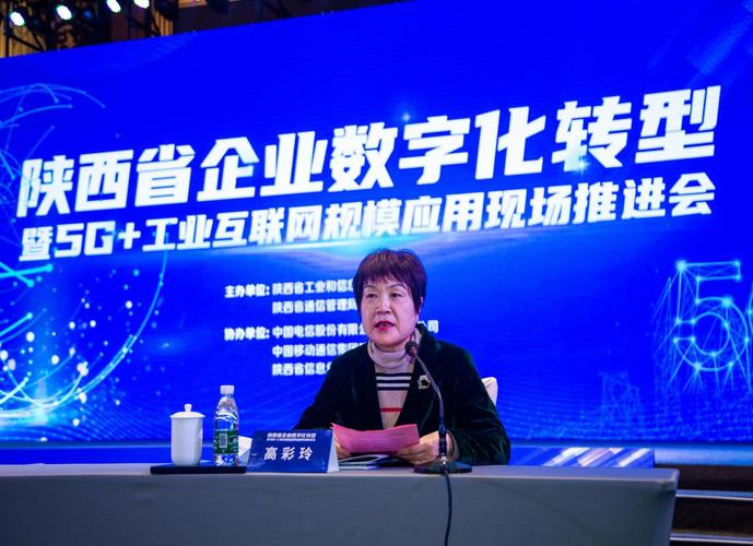 戴春枝：一位经验丰富的运营高管，致力于推动业务数字化转型(图1)
