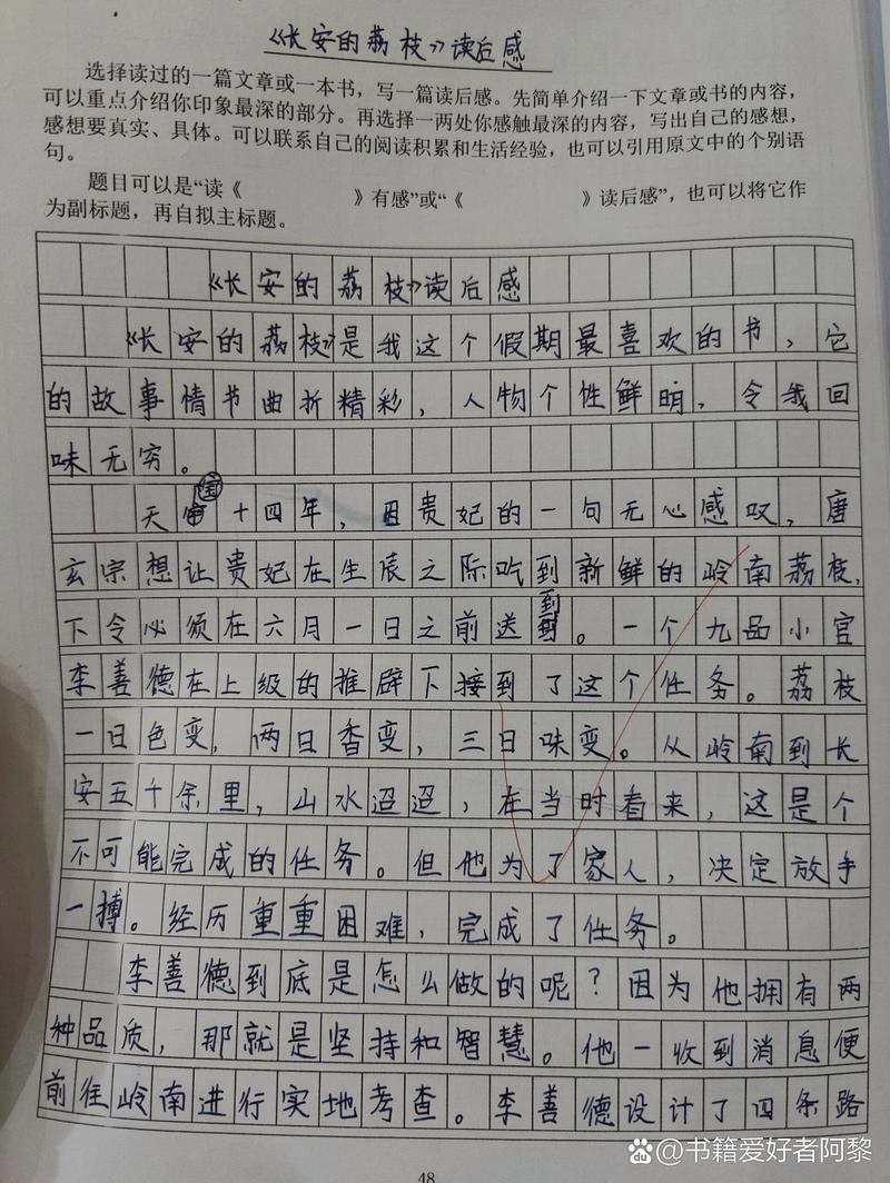 纯出女孩招聘--《长安的荔枝》读后感(图1)