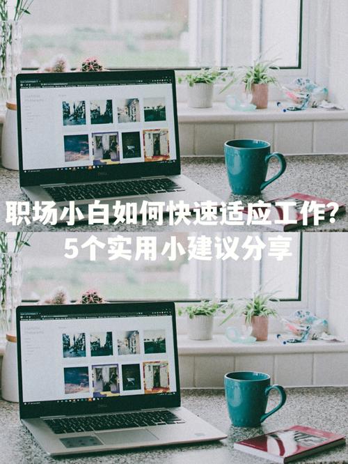 大圈中圈小圈招聘--大学里的职场小白要如何接招，顺利迈入职场？(图1)
