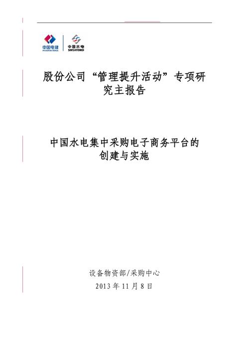 （电子商务）中国水电集中采购电子商务平台的创建与实施.pdf(图1)