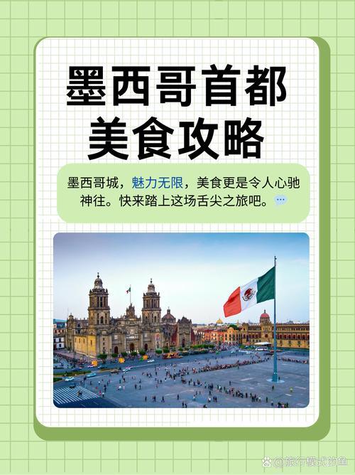 墨西哥旅游指南（第1部分）|可可(图1)