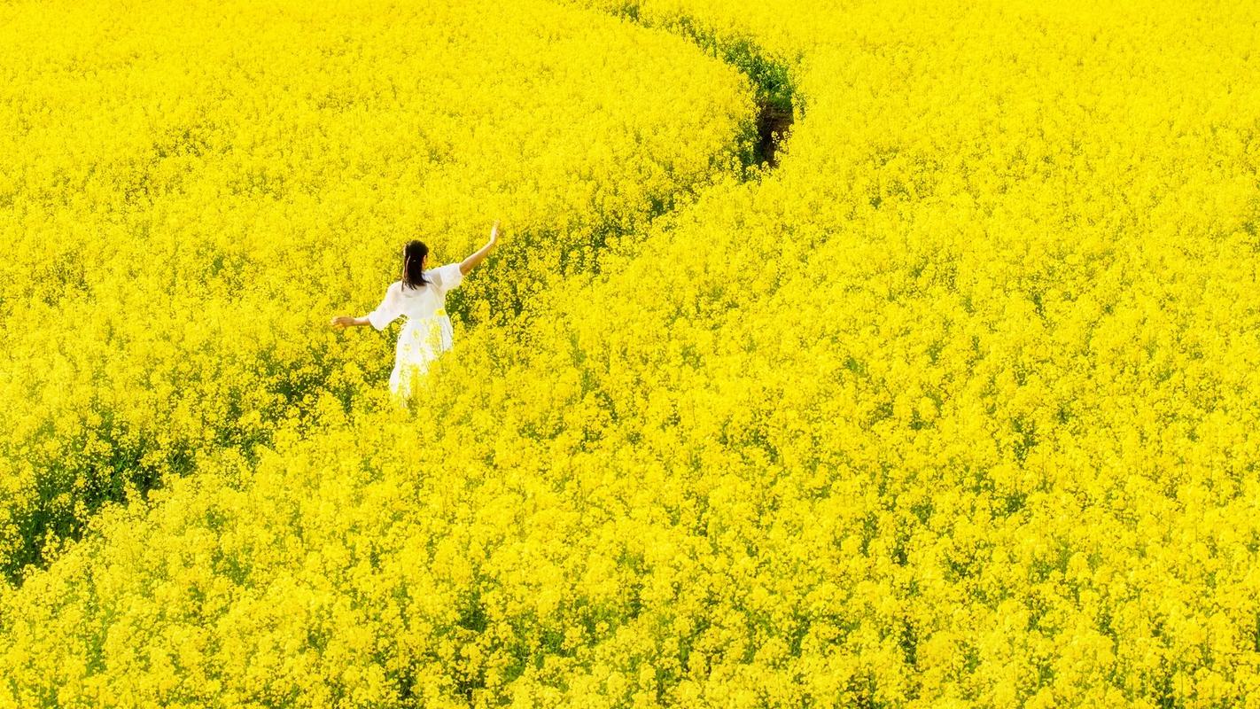 外圈伴游女孩招聘 --这个春天，8个女性的「生长」故事(图1)