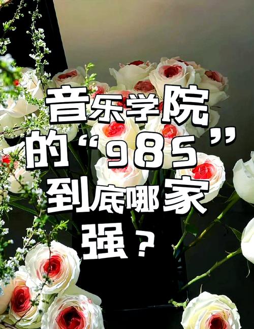 不要再参与“中央音乐学院”和“中国音乐学院”！实际上，差异很大(图1)