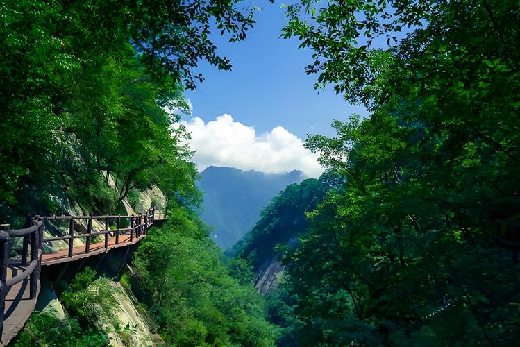 在zhangjie还是Shanxi在Shanxi中有趣的？ Shanxi旅游景点的天曼山指南(图1)