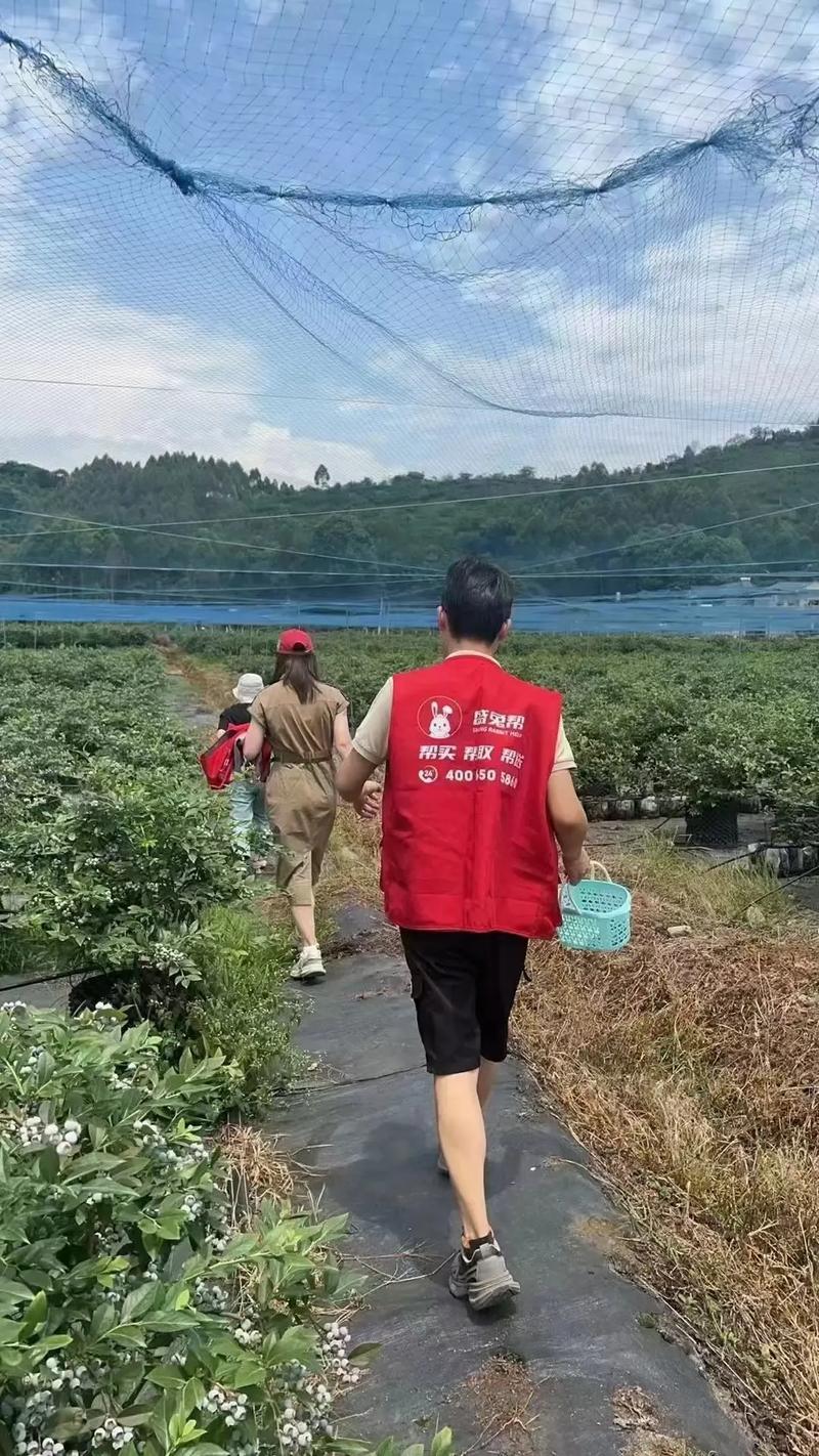 女兔帮旅游网(图1)