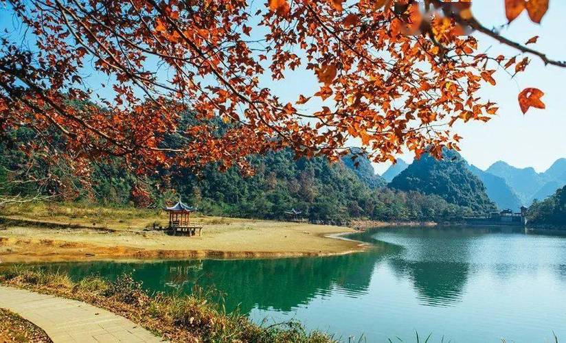 [Debao县]南国红枫树的天堂(图1)