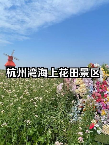 杭州湾海上花田风景区简介(图1)