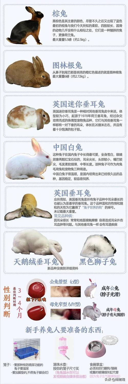 2018年兔养殖发展前景分析(图1)